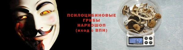 гашик Волосово