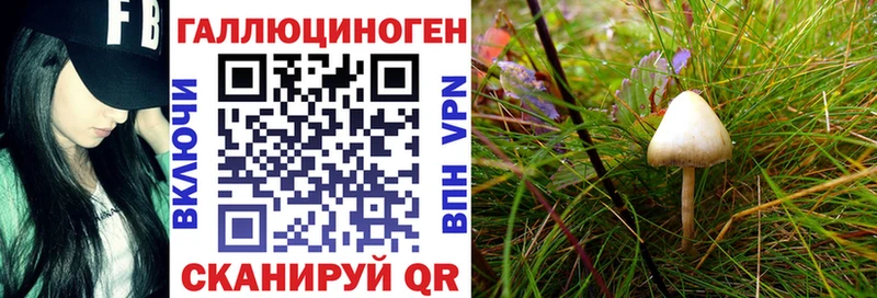 Псилоцибиновые грибы Magic Shrooms  Истра 
